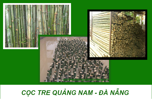 CỌC TRE QUẢNG NAM ĐÀ NẴNG
